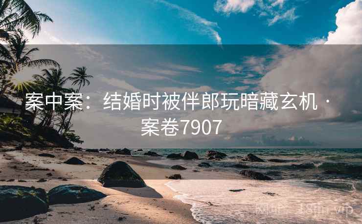 案中案:结婚时被伴郎玩暗藏玄机 · 案卷7907 第2张 案中案:结婚时被伴郎玩暗藏玄机 · 案卷7907 第2张