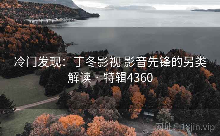 冷门发现：丁冬影视 影音先锋的另类解读 · 特辑4360