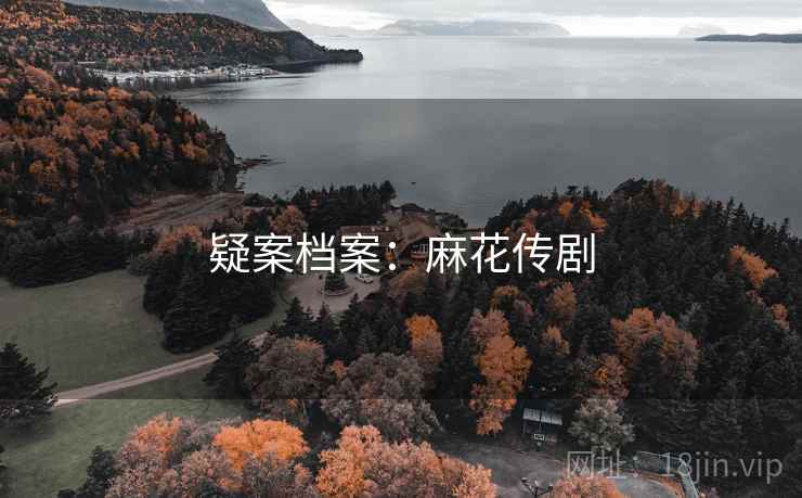 疑案档案：麻花传剧