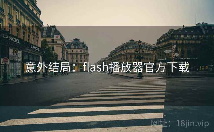 意外结局：flash播放器官方下载